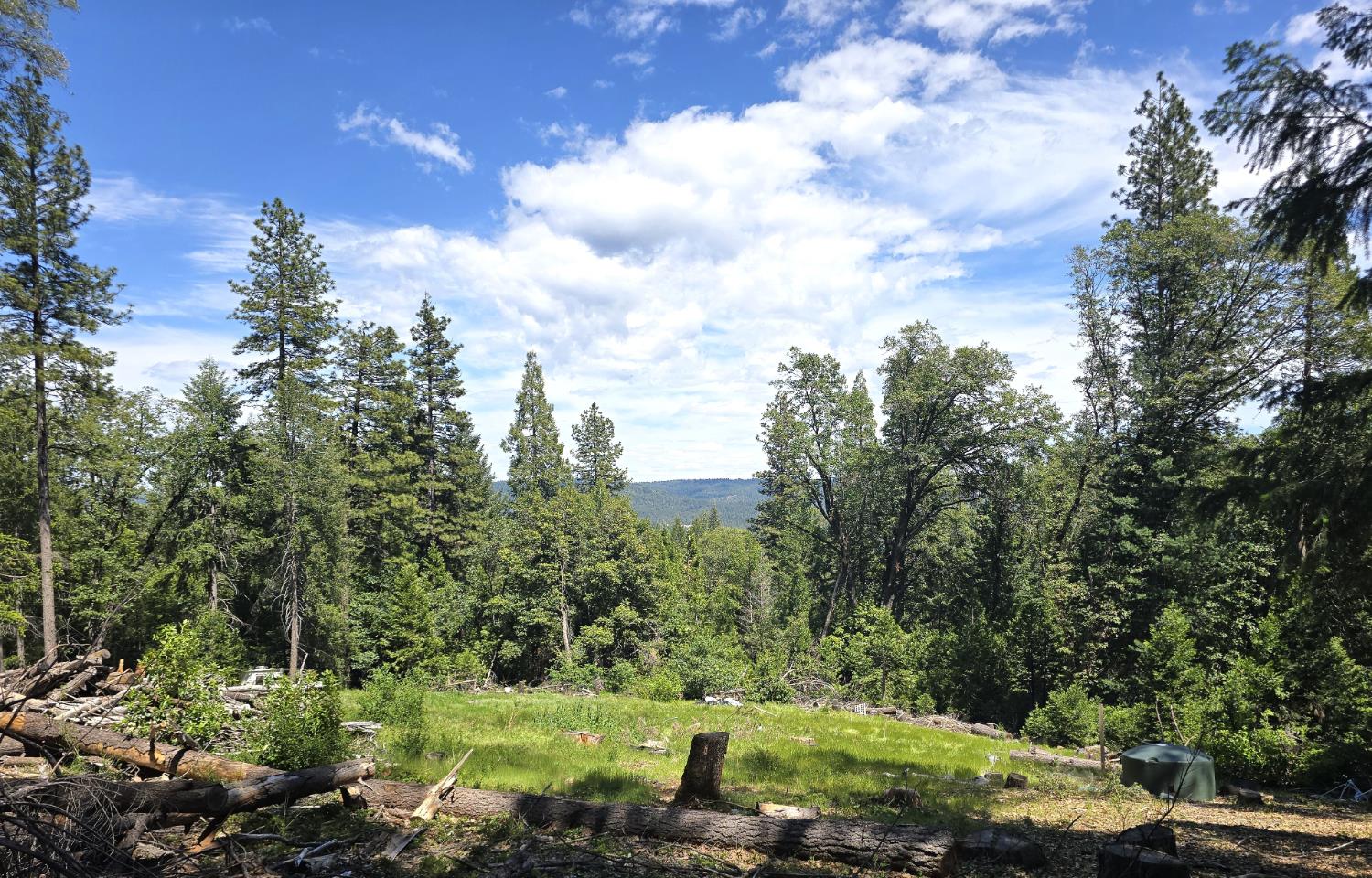 14599 Tumbling Creek Road Grass Valley, CA 95945 - Photo 1 of 9 a view of a garden with a pathway