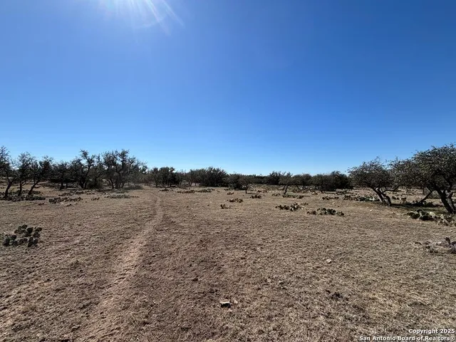 a view of a dry yard with wooden fence