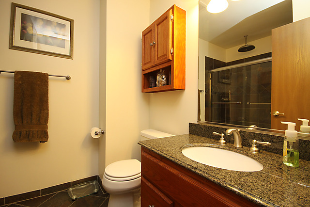 1616 Normantown Road Naperville, IL 60564 - Photo 16 of 24