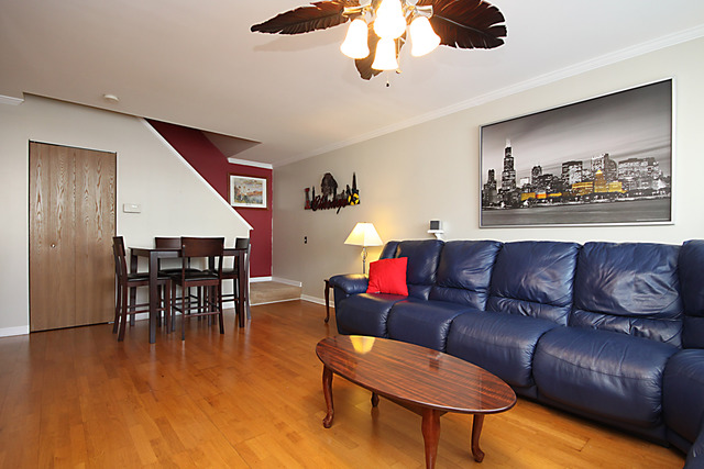1616 Normantown Road Naperville, IL 60564 - Photo 4 of 24