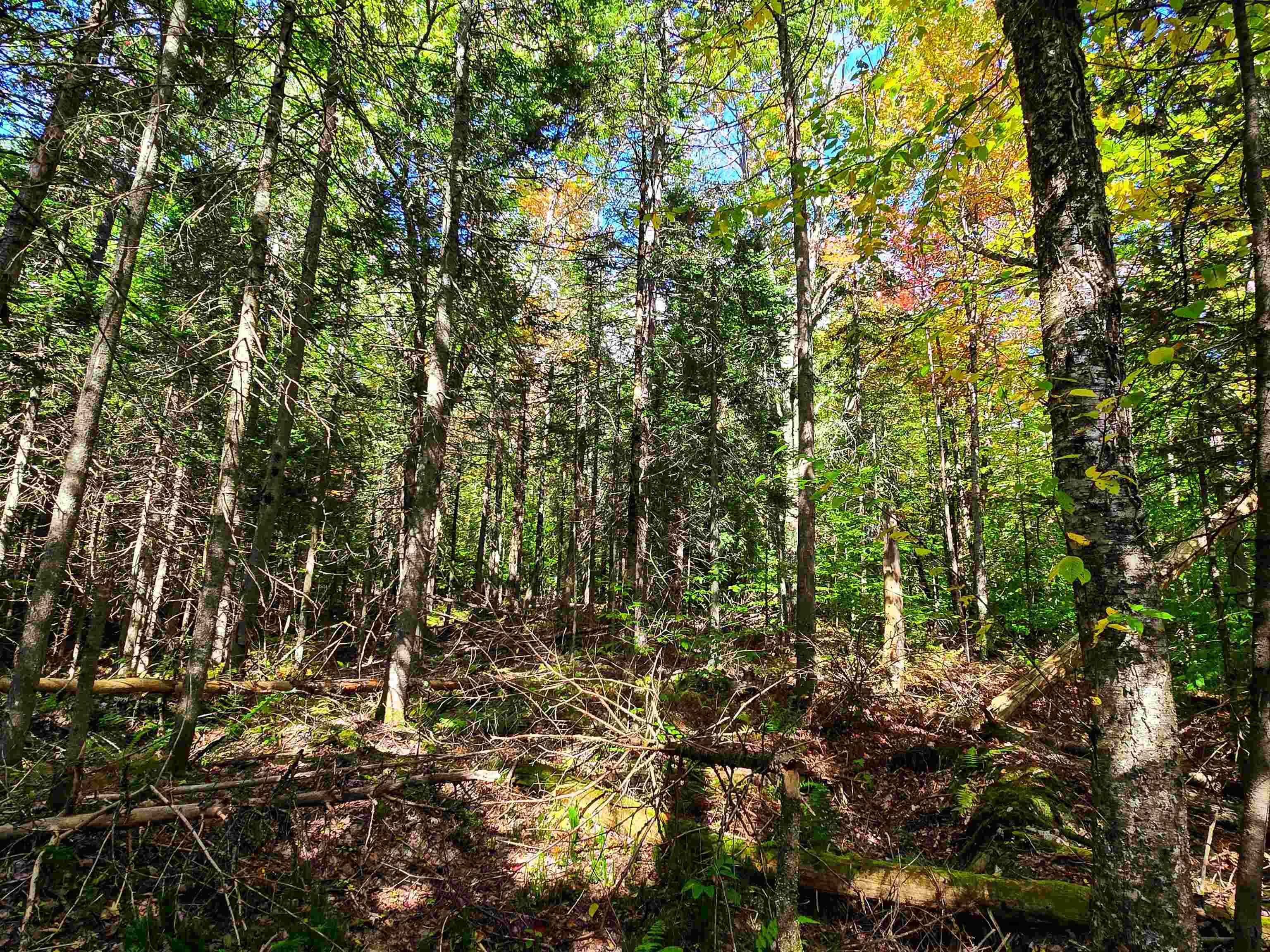 425 Symonds Mill Road Elmore, VT 05680 - Photo 11 of 32