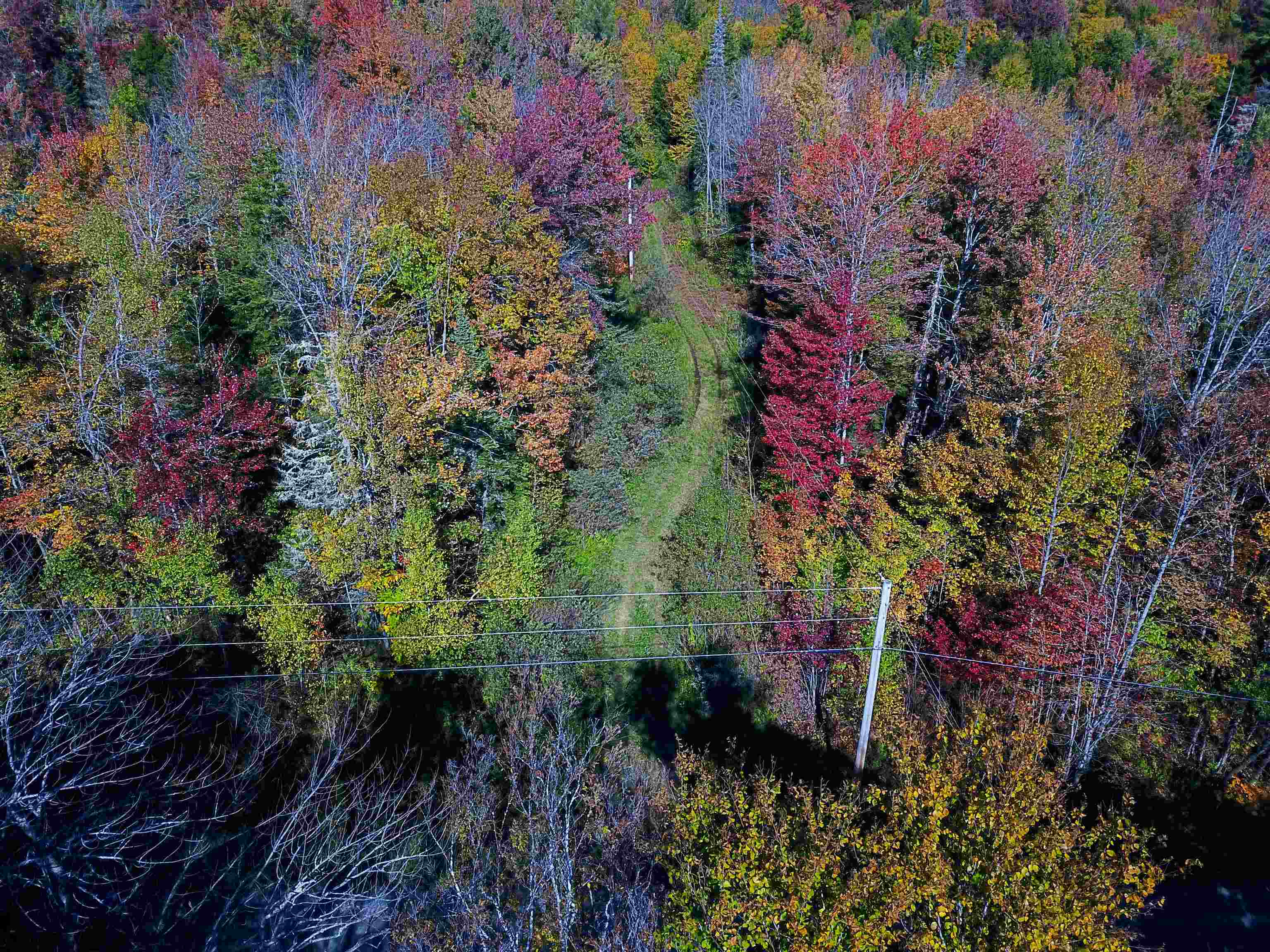 425 Symonds Mill Road Elmore, VT 05680 - Photo 22 of 32