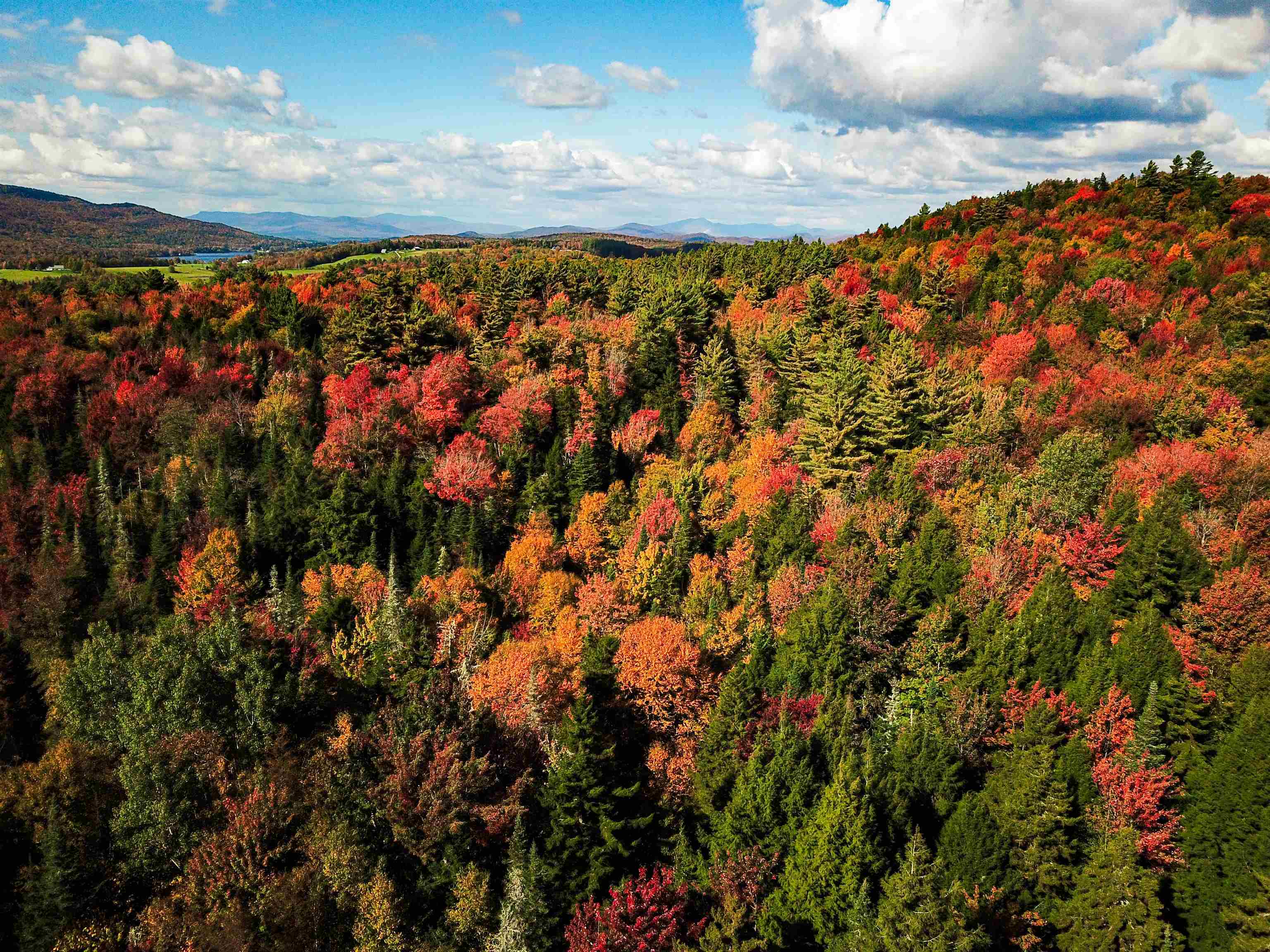 425 Symonds Mill Road Elmore, VT 05680 - Photo 24 of 32