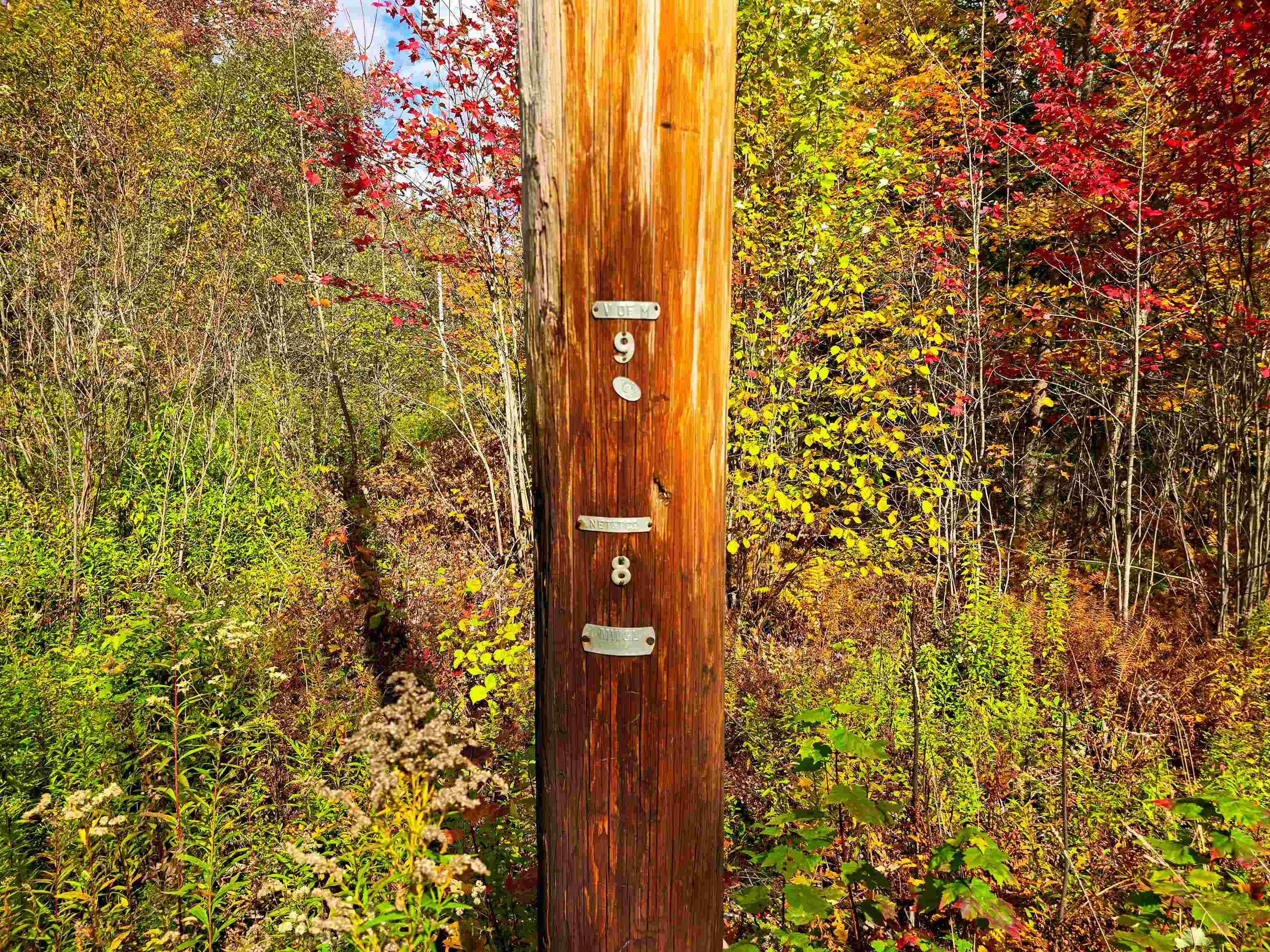 425 Symonds Mill Road Elmore, VT 05680 - Photo 29 of 32