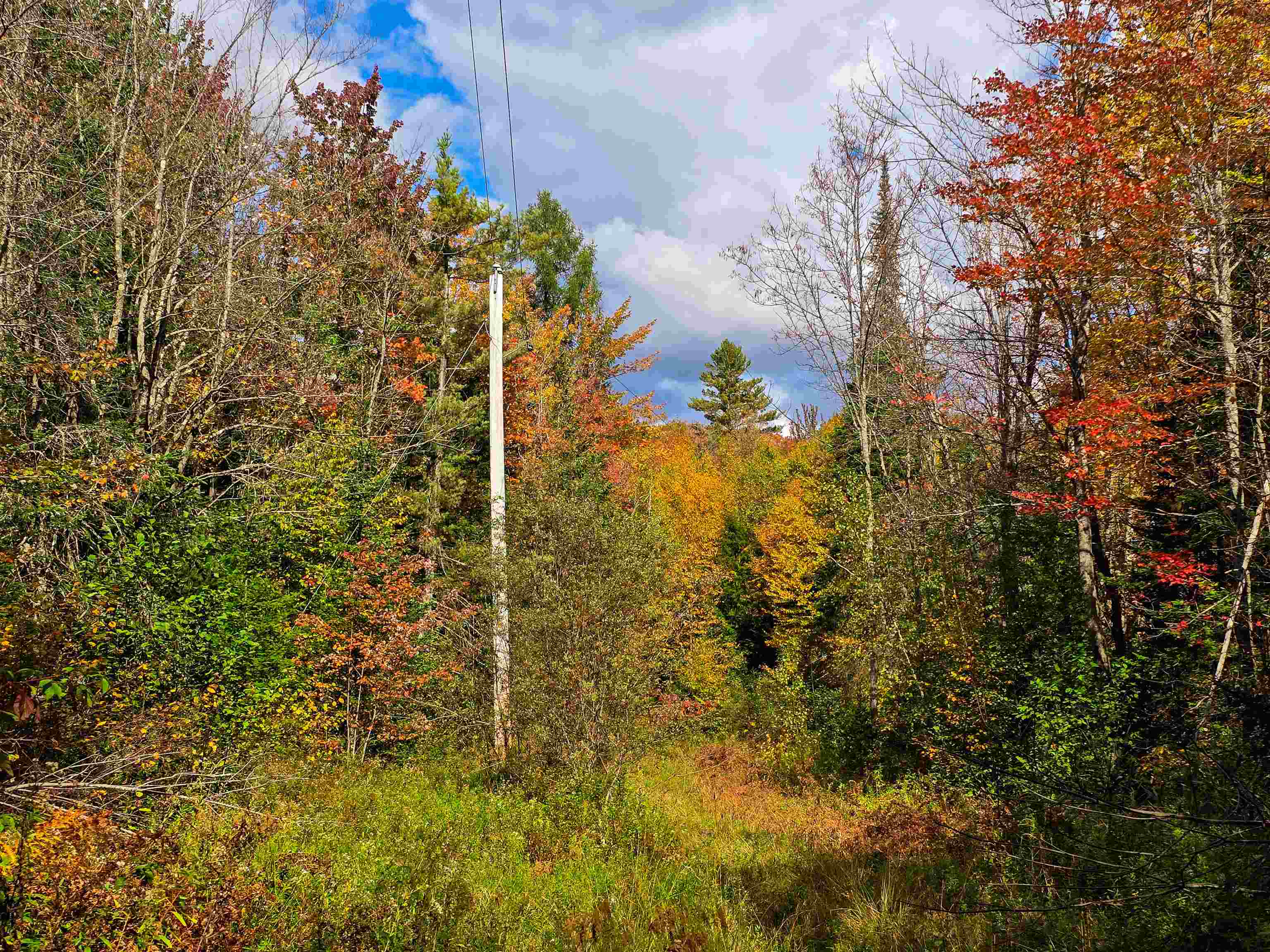 425 Symonds Mill Road Elmore, VT 05680 - Photo 31 of 32