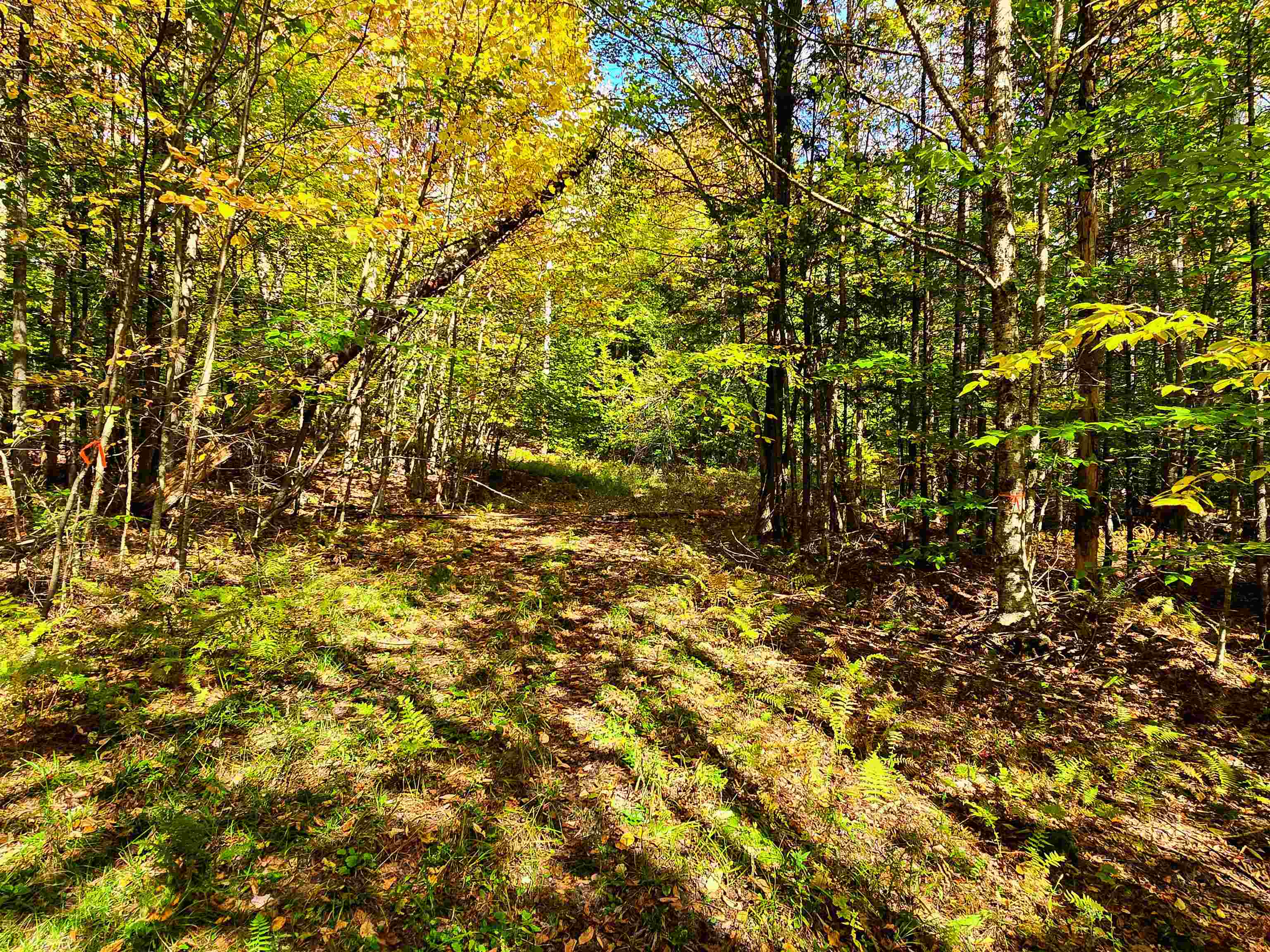 425 Symonds Mill Road Elmore, VT 05680 - Photo 7 of 32
