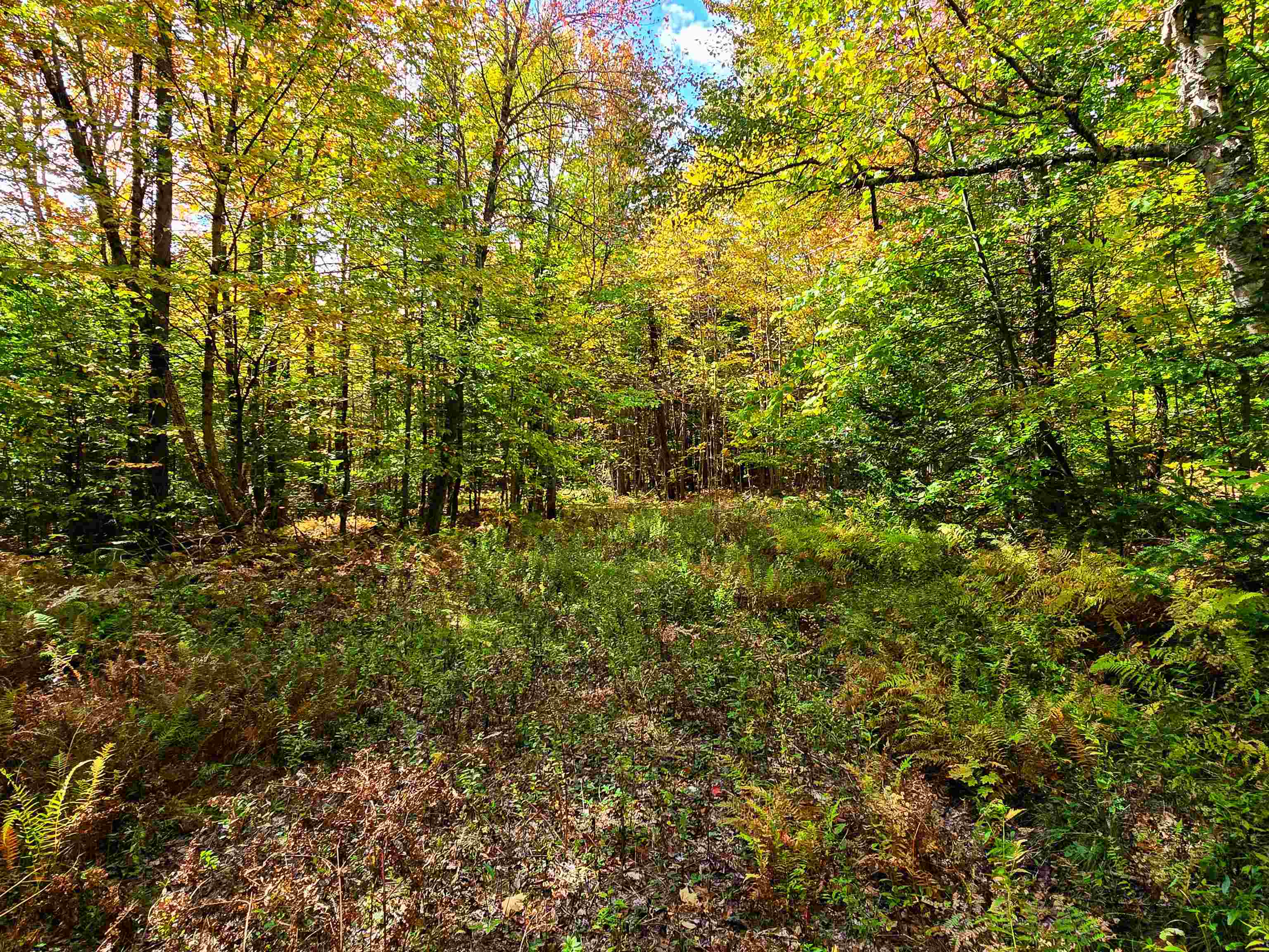 425 Symonds Mill Road Elmore, VT 05680 - Photo 8 of 32