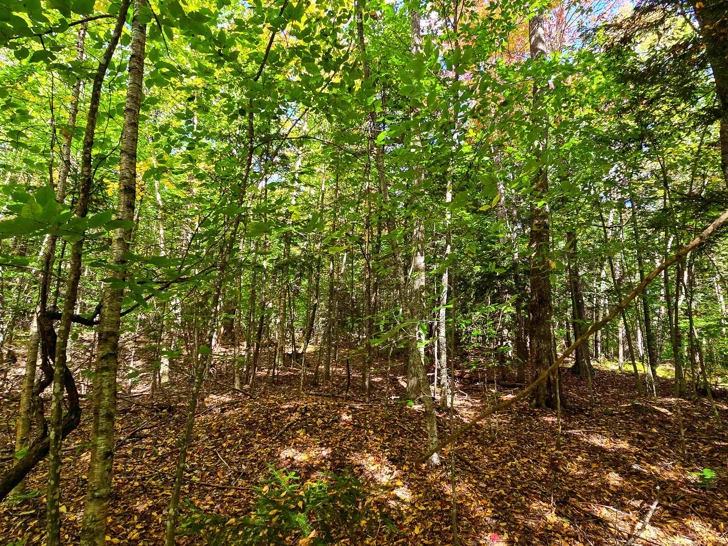 425 Symonds Mill Road Elmore, VT 05680 - Photo 10 of 32