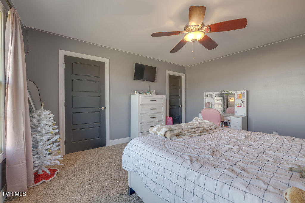 1024 Little Shadden Way Gray, TN 37615 - Photo 30 of 55 030