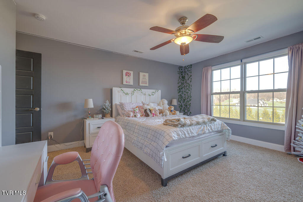 1024 Little Shadden Way Gray, TN 37615 - Photo 31 of 55 031