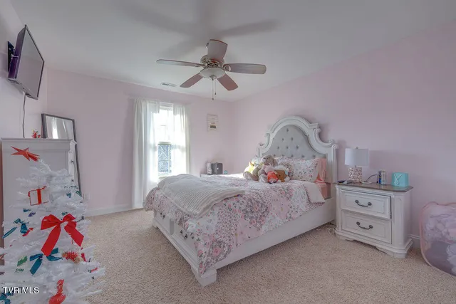 $799,000 | 1024 Little Shadden Way, Gray, TN 37615