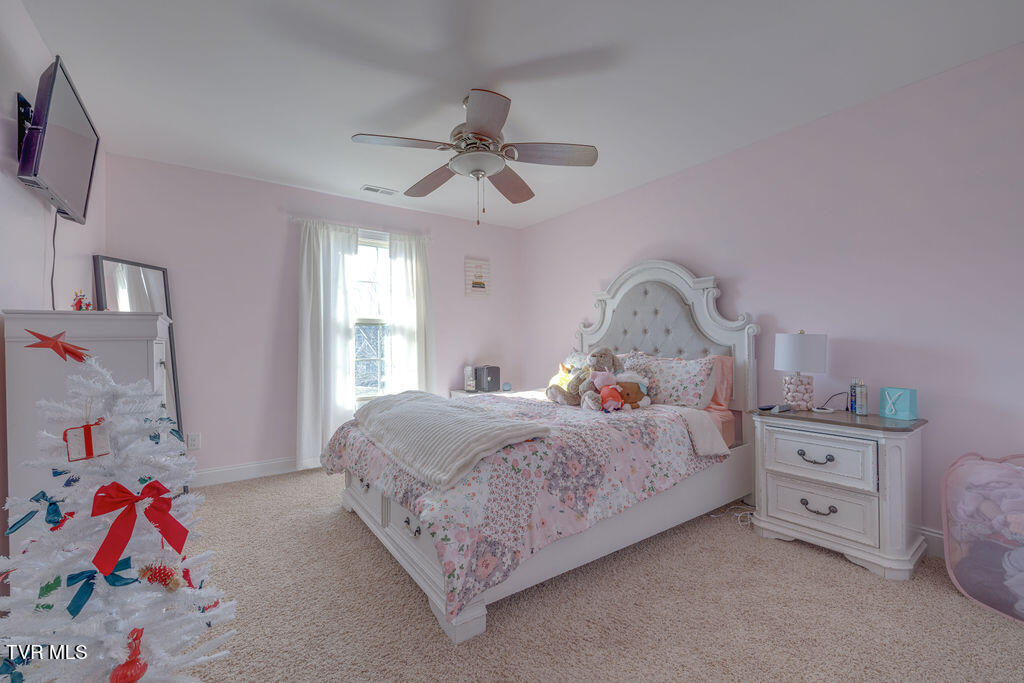 1024 Little Shadden Way Gray, TN 37615 - Photo 33 of 55 033