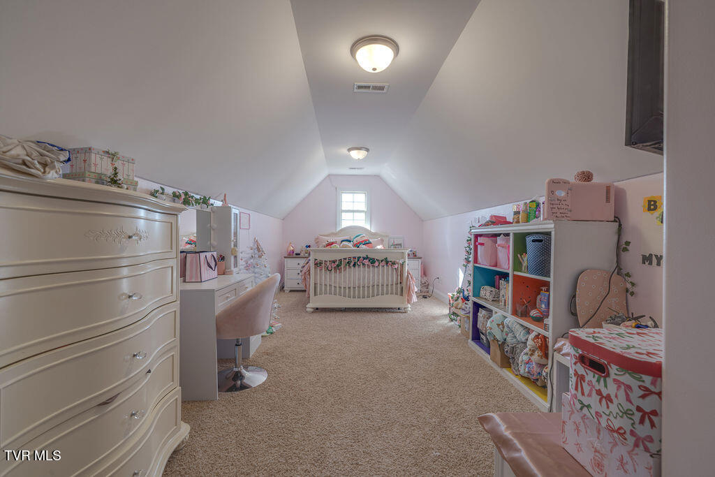 1024 Little Shadden Way Gray, TN 37615 - Photo 36 of 55 036