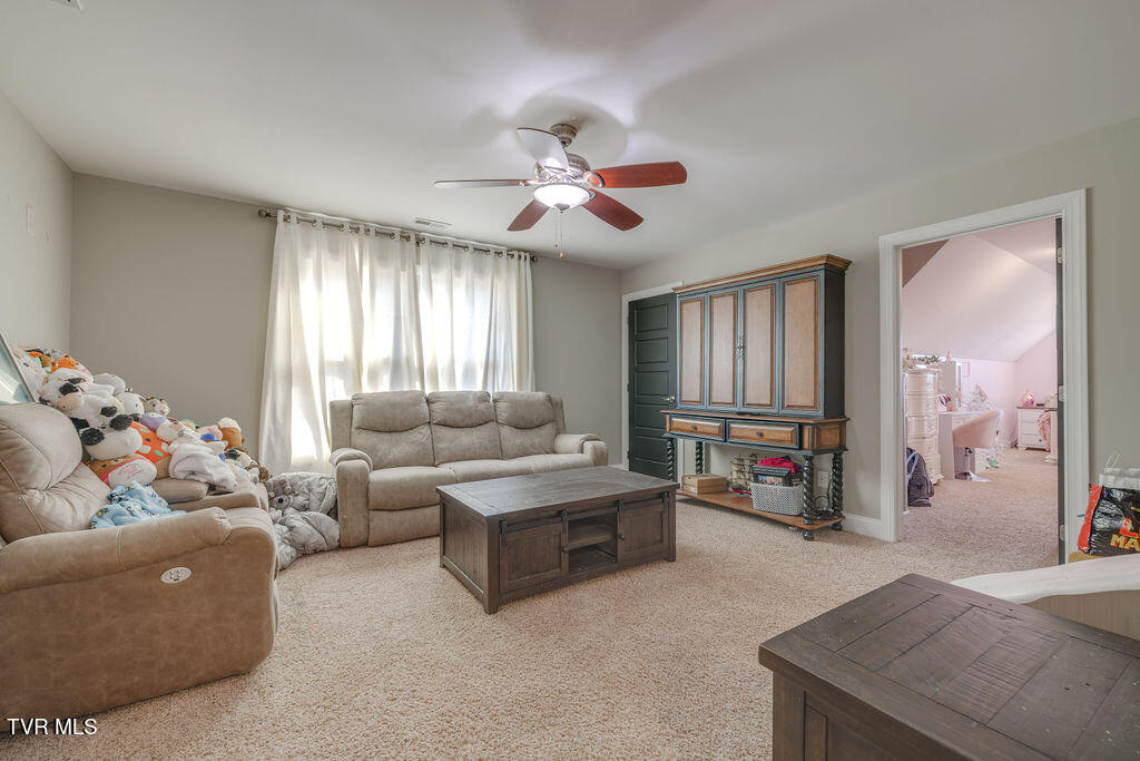 1024 Little Shadden Way Gray, TN 37615 - Photo 38 of 55 038