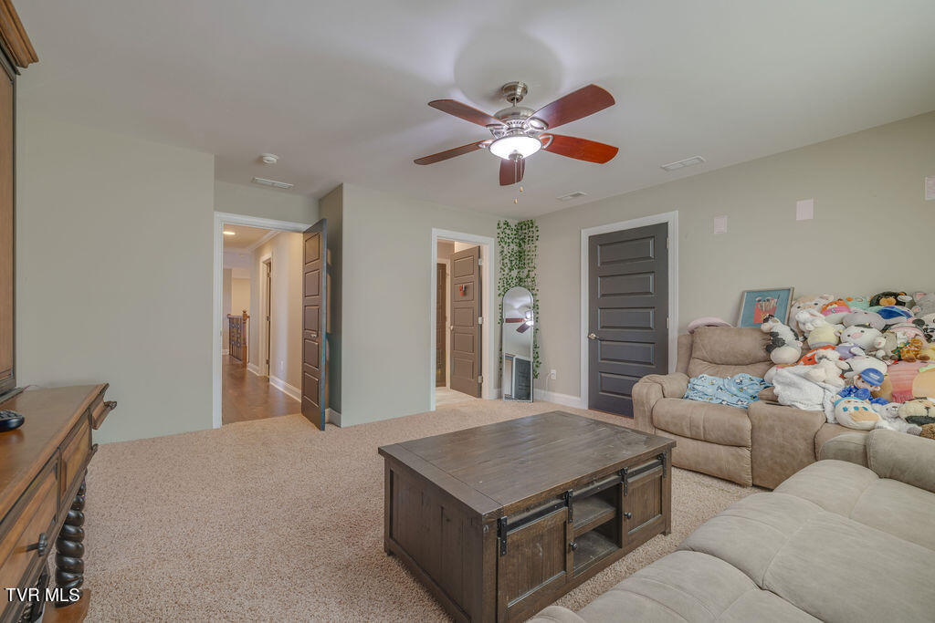 1024 Little Shadden Way Gray, TN 37615 - Photo 39 of 55 039