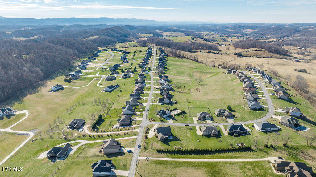 1024 Little Shadden Way Gray, TN 37615 - Photo 53 of 55 053