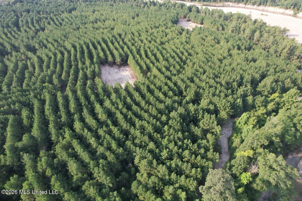 5 Old Oldenburg Road Meadville, MS 39653 - Photo 14 of 39 DJI_0905 Large