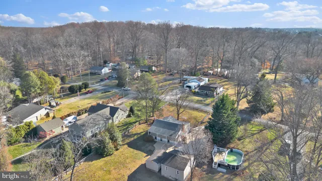 a view of a lot of trees