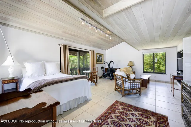 a street view with tall trees