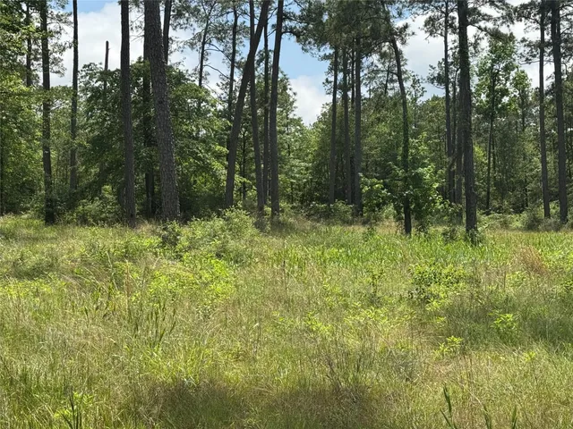 a view of outdoor space with green field and trees