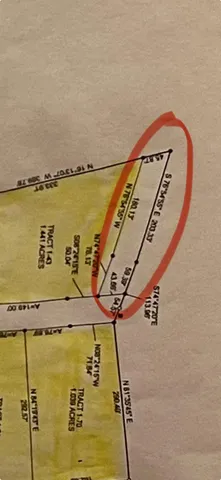 a view of a yard next to a road