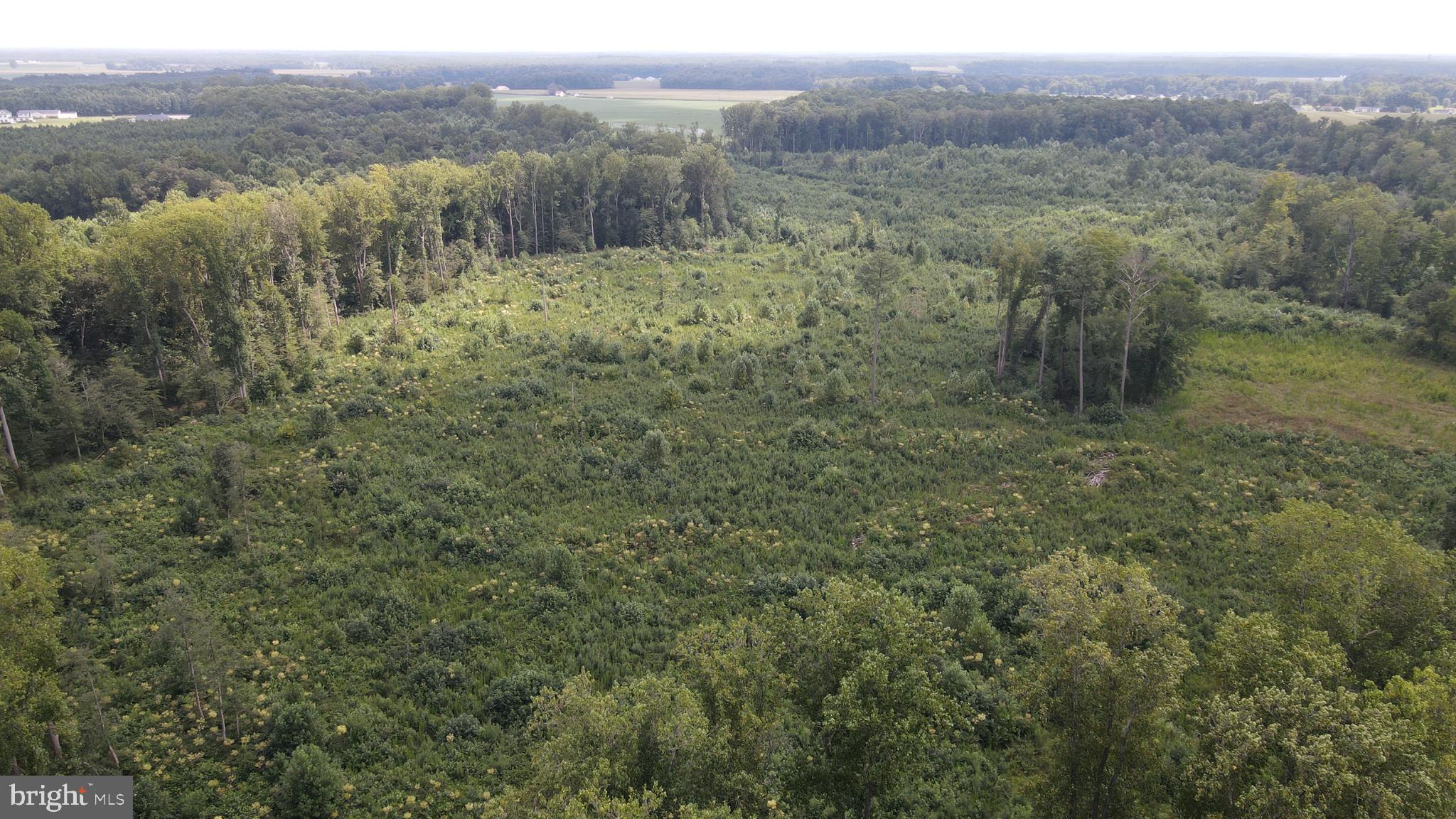 5 Shortly Road Georgetown, DE 19947 - Photo 2 of 5
