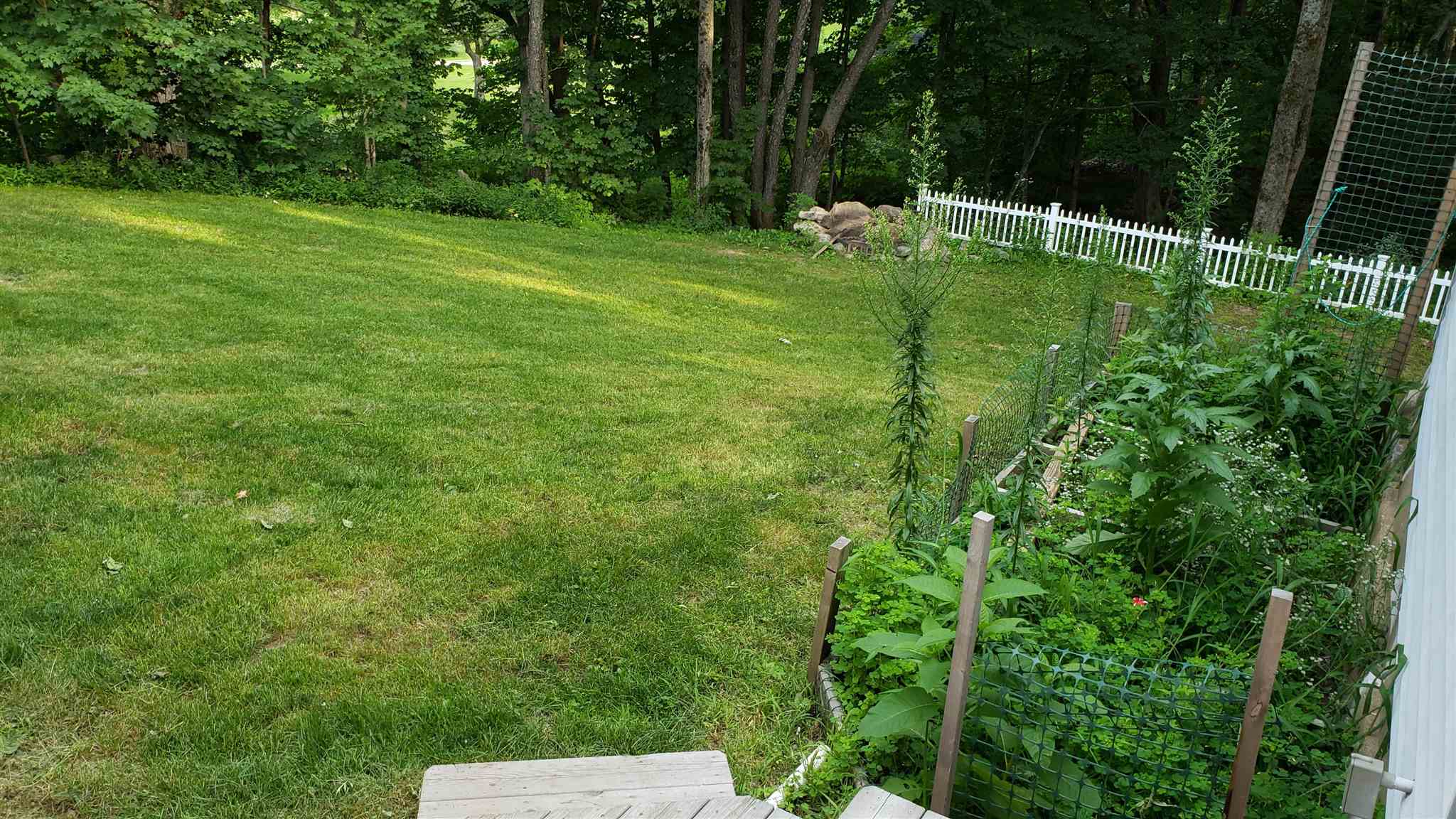 109 Nottingham Road Deerfield, NH 03037 - Photo 4 of 21