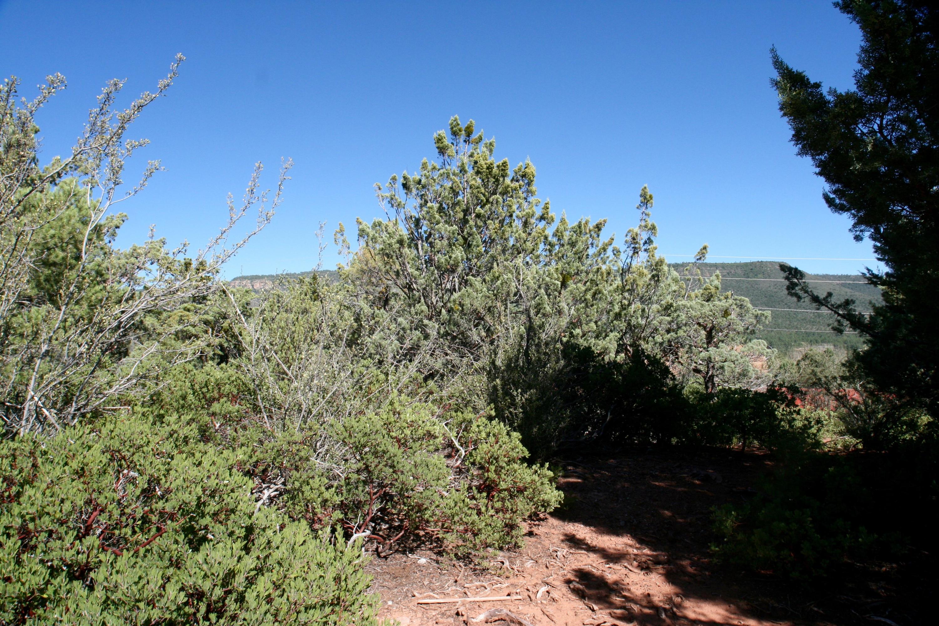8 North H N Valley View Rd Pine Pine, AZ 85544 - Photo 2 of 9