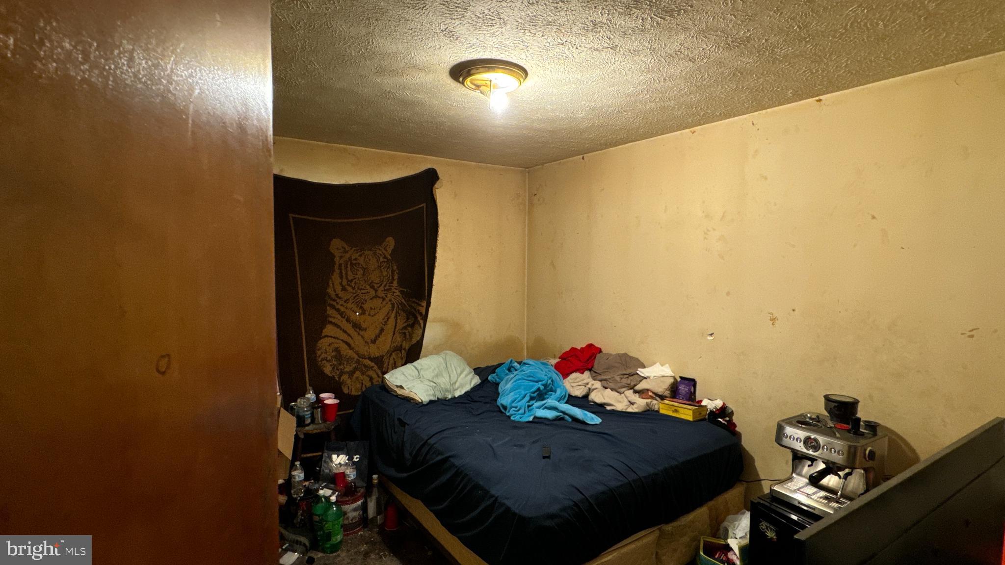 212 Killdeer Road Stephens City, VA 22655 - Photo 5 of 11