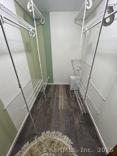 15 Paradiso Street, Unit 1 Norwalk, CT 06854 - Photo 9 of 16 a view of walk in closet
