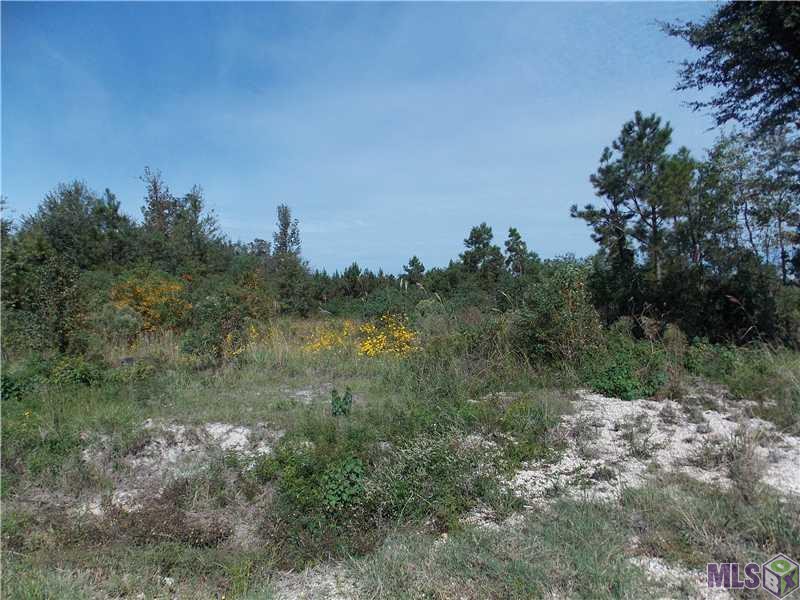 999 Old CC Road Albany, LA 70711 - Photo 1 of 3 VIEW OF LOT