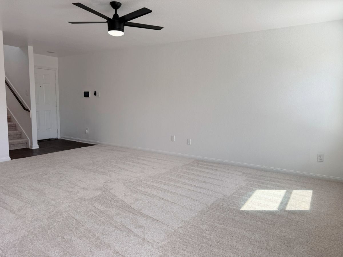 3000 Cressler Lane Jarrell, TX 76537 - Photo 4 of 24