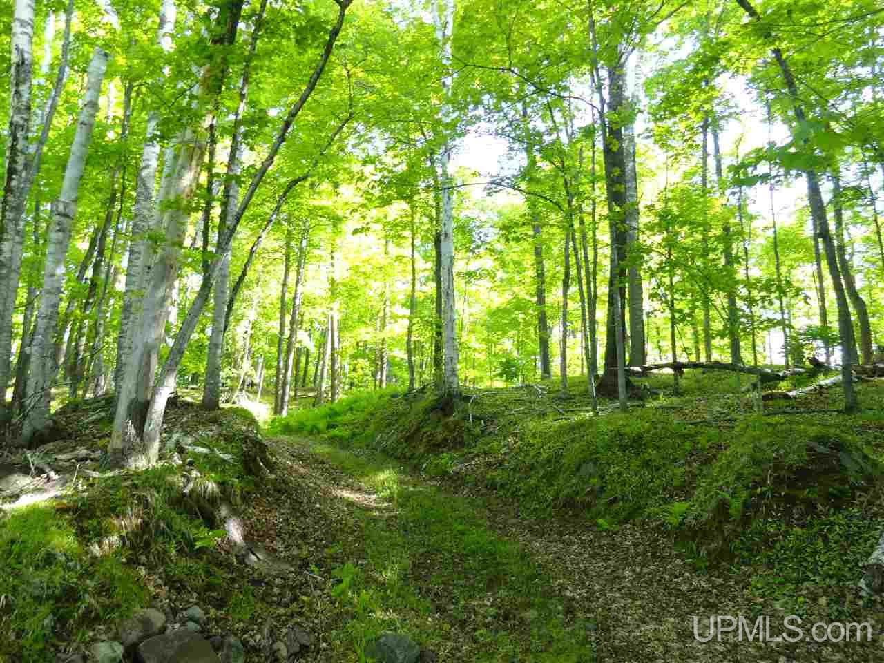 7202 Elm Road Republic, MI 49879 - Photo 27 of 36