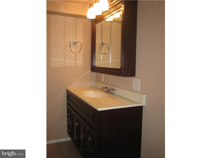 343 Ridge Road Spring City, PA 19475 - Photo 18 of 25 Bathroom