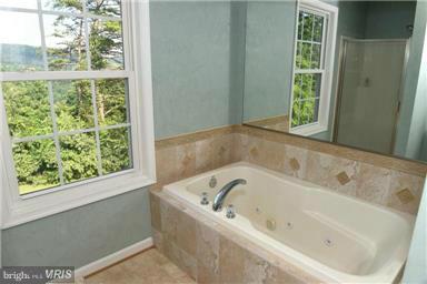 4619 Remount Road Huntly, VA 22640 - Photo 10 of 10 Bath (Master)