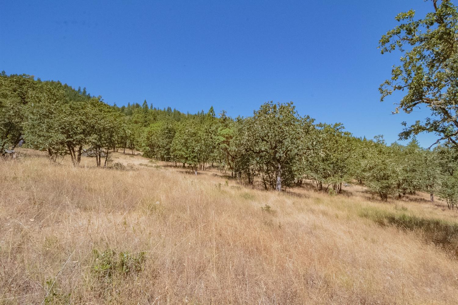 3599 Kane Creek Road Central Point, OR 97502 - Photo 19 of 20 Additional Photo