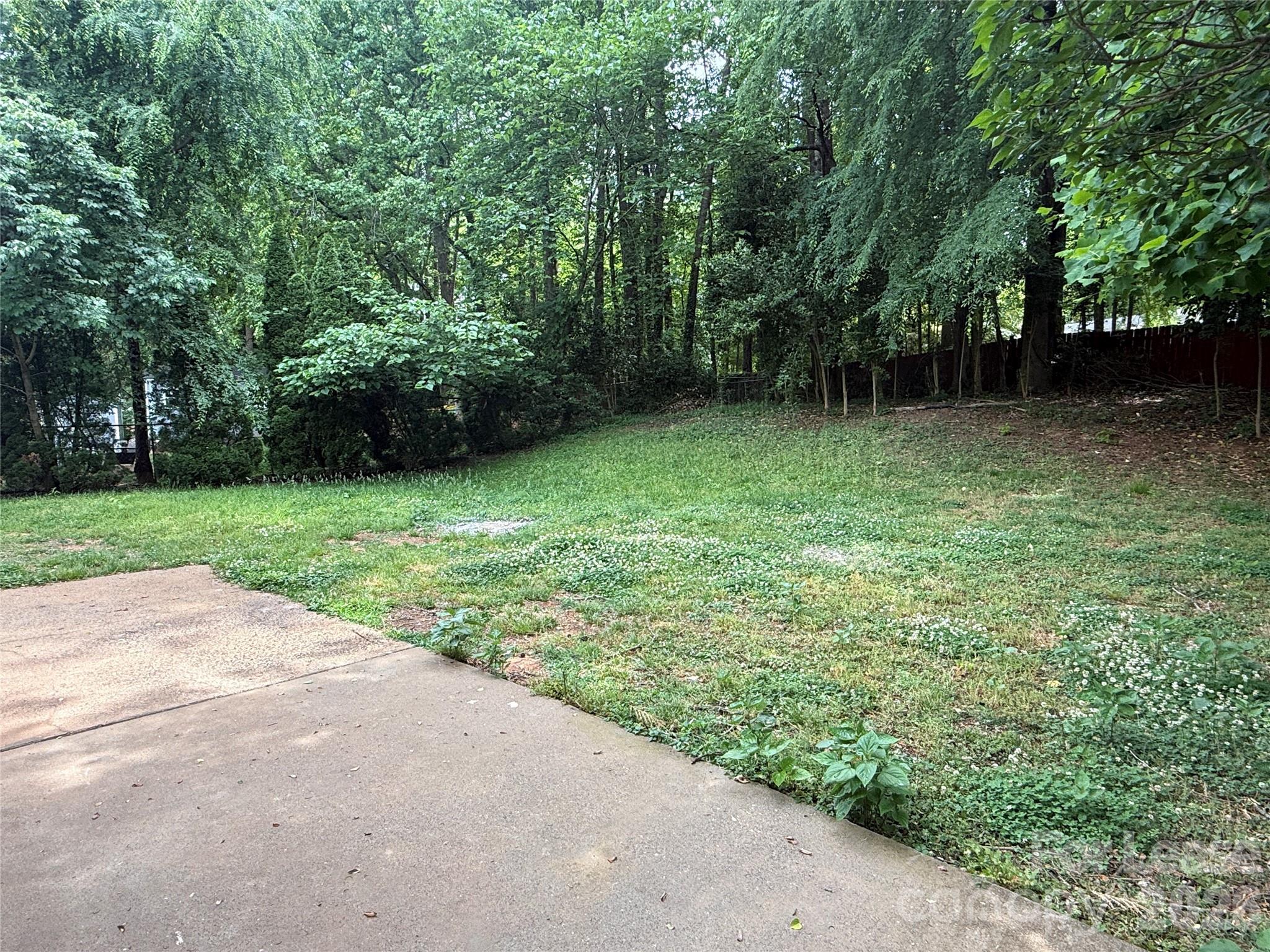 6341 Round Hill Road Charlotte, NC 28211 - Photo 16 of 16 a backyard of a house with lots of green space