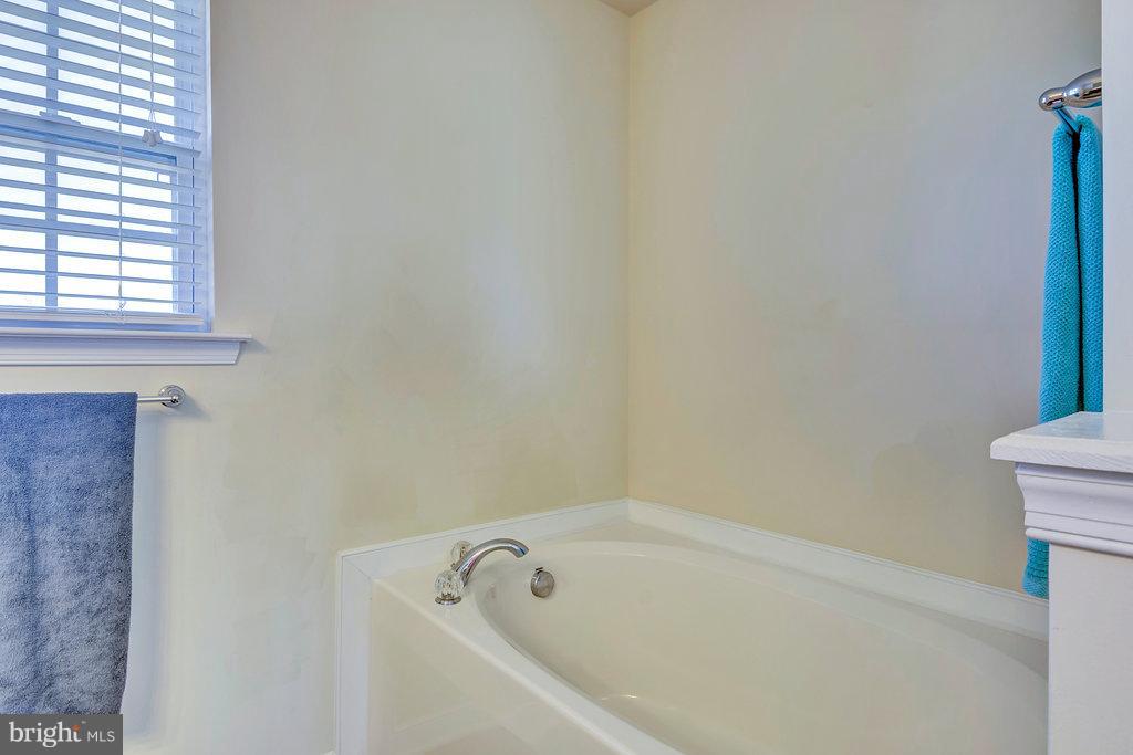 330 Cardinal Road Louisa, VA 23093 - Photo 18 of 27 Bath (Master) Garden Tub