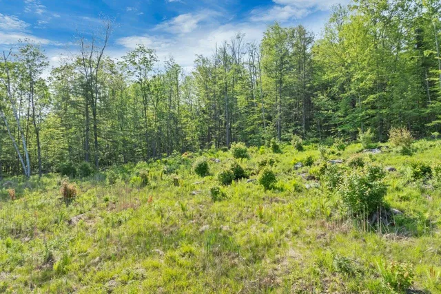 $239,900 | 0 Boulder Point Drive, Unit 21, Plymouth, NH 03264