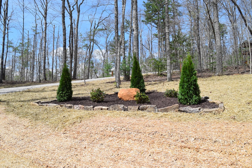 375 Ridge Brook Drive Morganton, GA 30560 - Photo 7 of 34 a row of trees with sign board