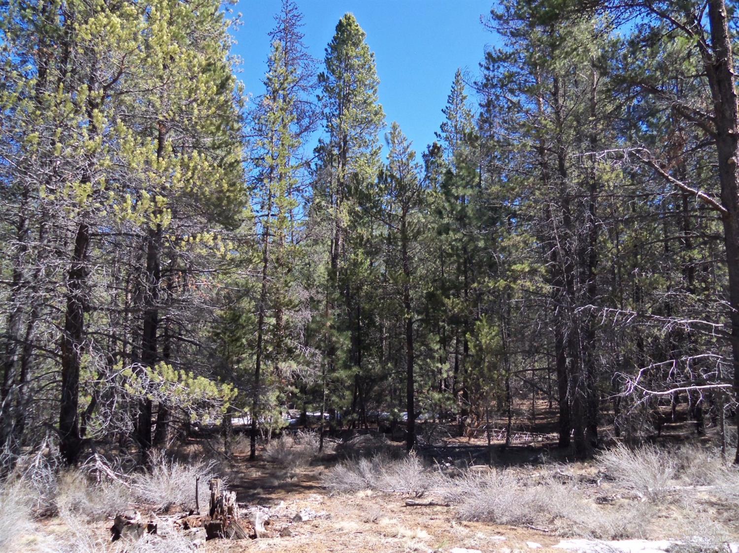 2509 Power Line Road La Pine, OR 97739 - Photo 5 of 12 Additional Photo