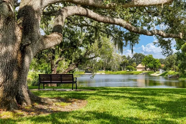 a view of a lake with a yard