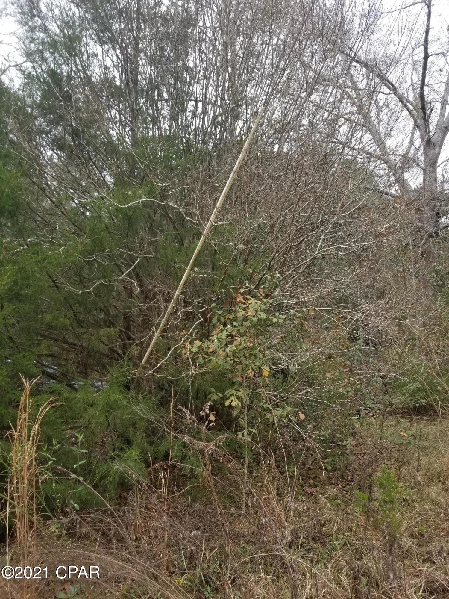 2981 Beall Packing Road Bonifay, FL 32425 - Photo 5 of 38 Gallery Image 5