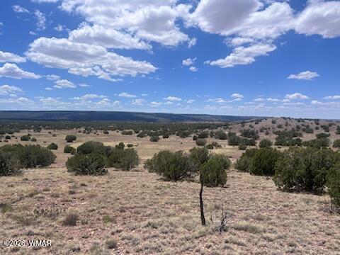 41 Indian Drive Concho, AZ 85924 - Photo 20 of 26 IMG_3686