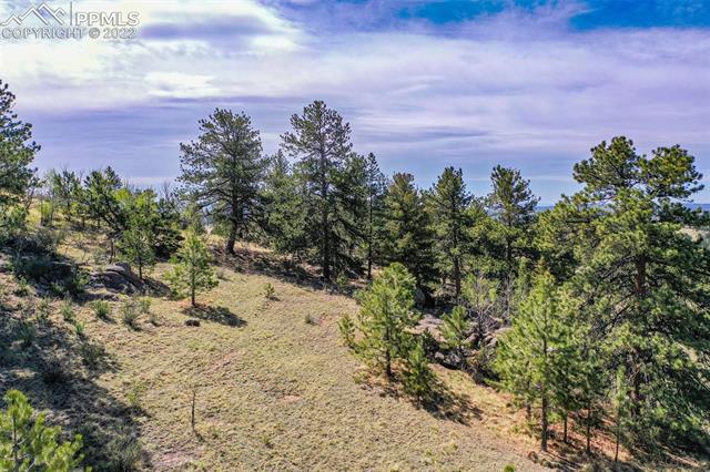 339 Chipper Road Guffey, CO 80820 - Photo 30 of 34 Gallery Image 30
