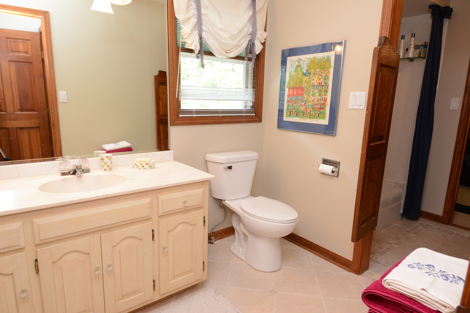 4-n034 Thornapple Road St. Charles, IL 60174 - Photo 26 of 44 a bathroom with a toilet sink and mirror