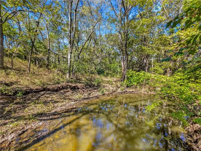 $1,108,800 | 61.6-acres Southeast 61.6-acres Se Hamblen Road, Greenwood, MO 64034