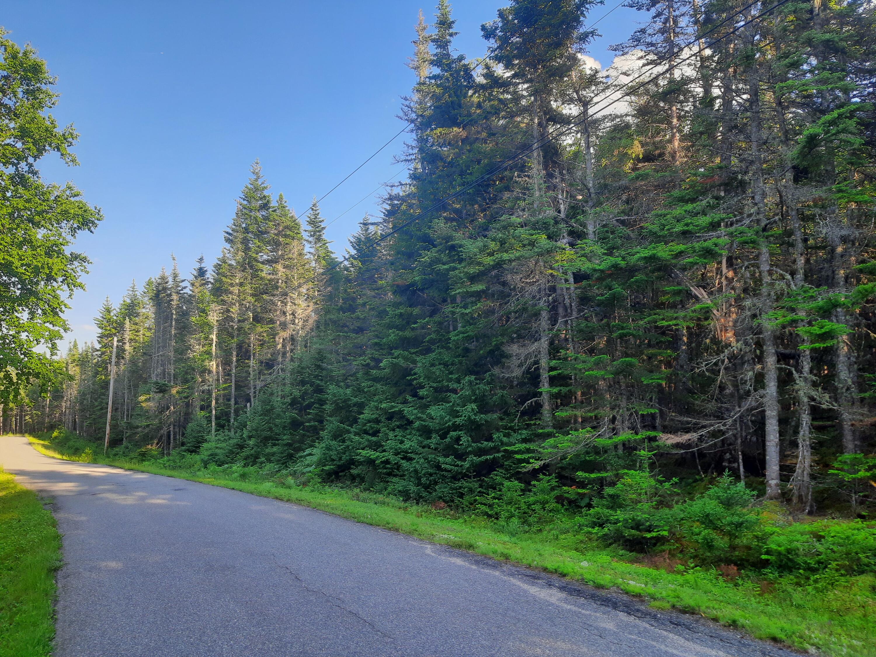 44 Yoho Head Road Machiasport, ME 04655 - Photo 1 of 1 20210629_181244
