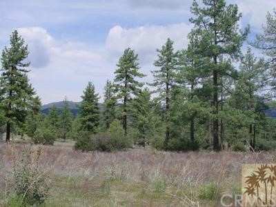 1 Hop Patch Spring Road Mountain Center, CA 92561 - Photo 1 of 1
