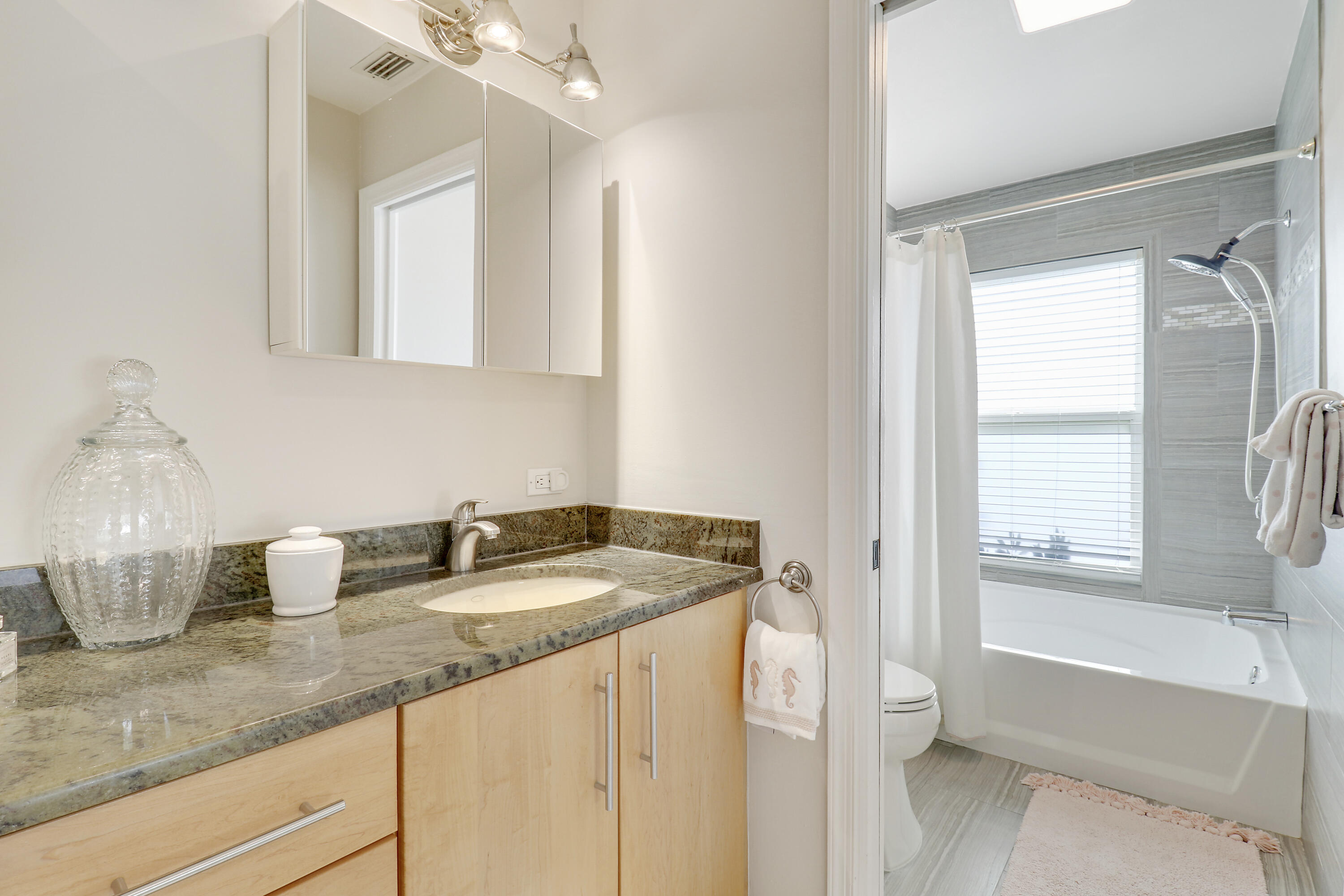 6372 North 197th Place Jupiter, FL 33458 - Photo 50 of 77 a bathroom with a granite countertop sink and a mirror